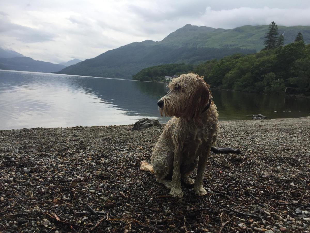 Ben Lomond Lodge Rowardennan Dış mekan fotoğraf